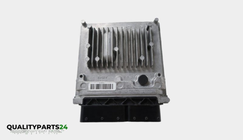 Mercedes ECU A6519007600 (Delphi)