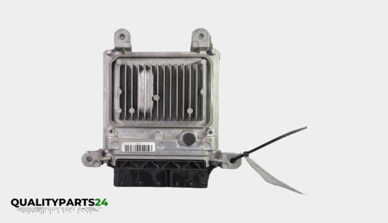 Mercedes-Benz ECU A6519005203 (Delphi)